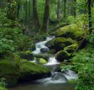 'personal tours in ' + Oporto + Nature and Adventure